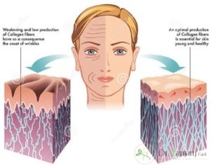کلاژن (  collagen) :