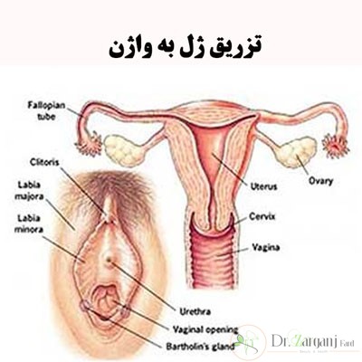 آیا شما یک کاندید خوب برای پیوند چربی هستید؟