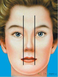 پهنای پایه بینی