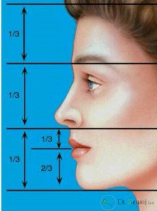 نمای نیم رخ