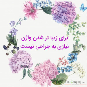 تزریق چربی به واژن به چه معنا است ؟