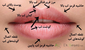 تزریق ژل مدل قلوه ای