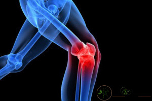 مراقبت های قبل از تزریق ژل، به زانو چگونه می باشد؟