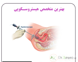 زمینه فعالیت متخصصین زنان