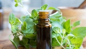 روغن پونه کوهی