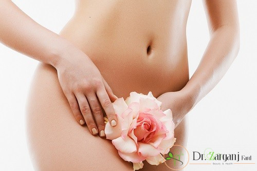 مدل های مختلف لابیاپلاستی