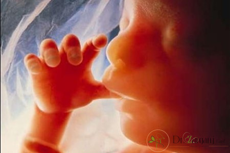بهترین دکتر زنان در زمینه اجرای بالینی مربوط به رشته خود چه اقداماتی را لحاظ می کند،؟