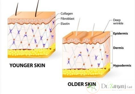 کلاژن چیست و از چه طریقی می توان کلاژن سازی را تحریک کرد؟