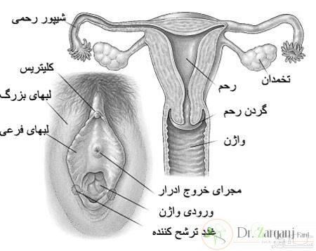 ارثی و یا ژنتیکی