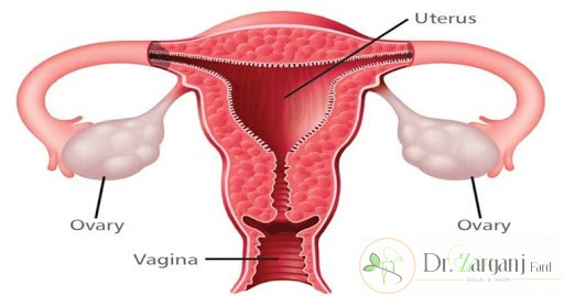 پیش از انجام لیزر برای جوان سازی واژن باید چه اقداماتی انجام بدهیم؟