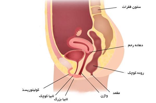 قبل از انجام جراحی پرینورافی چه کارهایی باید انجام داد