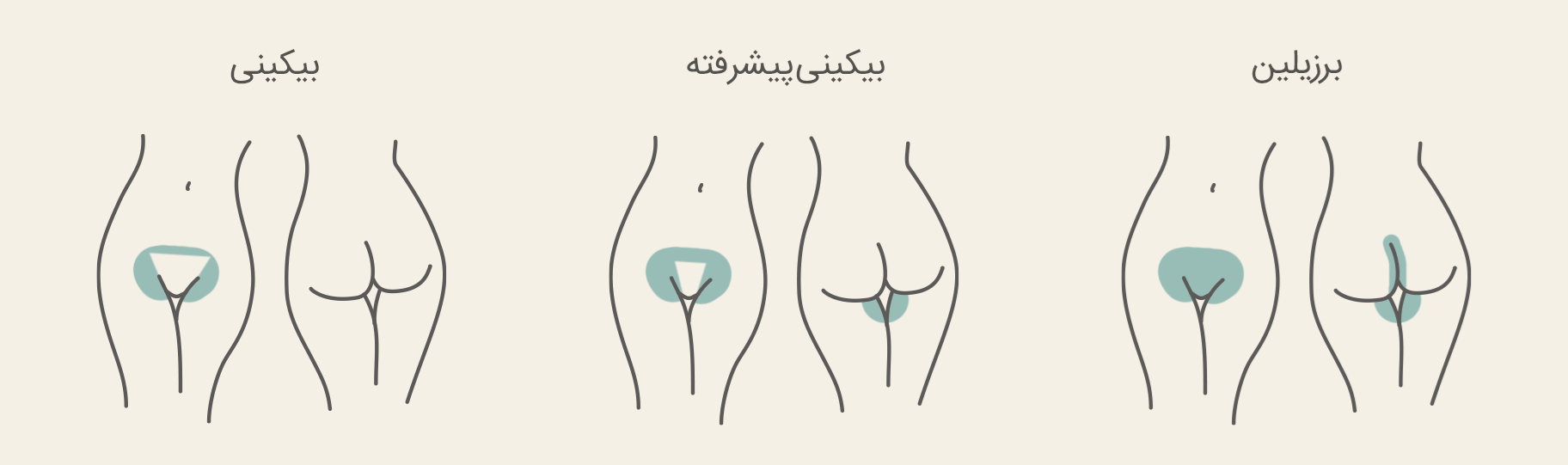 همان طور که می دانید روی بدن همه انسان ها موهایی رشد می کنند. به موارد زیر توجه کنید