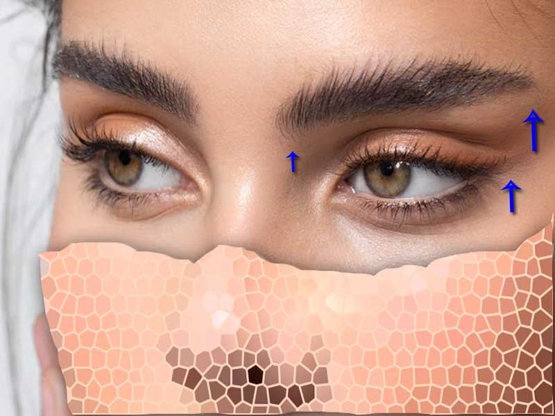 چربی شقیقه در لایه های مختلف قرار دارد