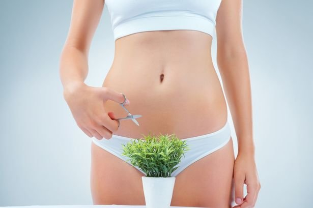آیا اصلاح کردن بیکینی بعد از اولین جلسه لیزر امکانپذیر است؟