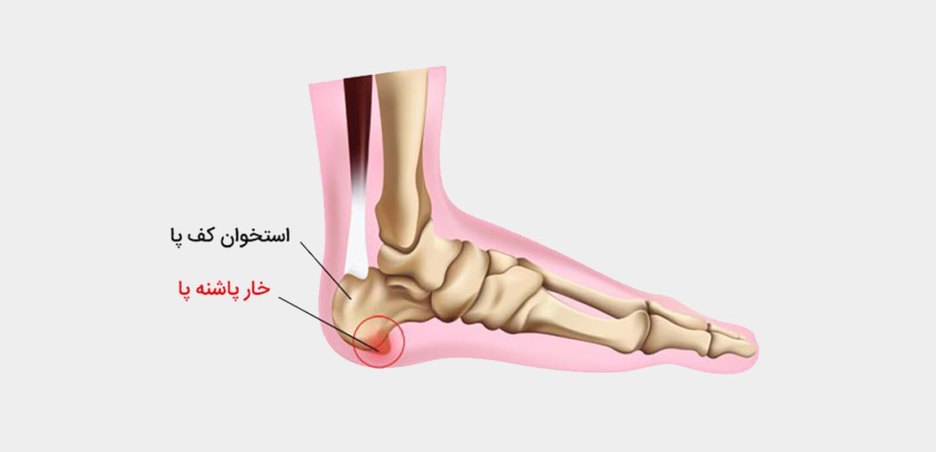 تخصص و اعتبار پزشک